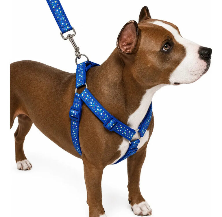 Guia Peitoral Coleira Cachorro Médio Grande Porte Mosquetão Aço Ultra Resistente