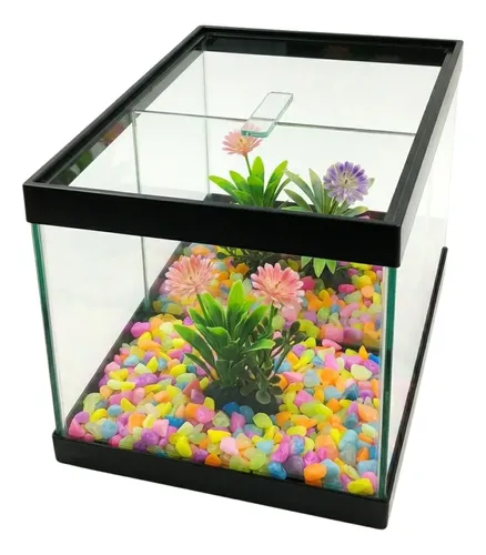 Aquário Duplo N1 20x10x15 Decorado 2 Peixe Betta Planta Fish