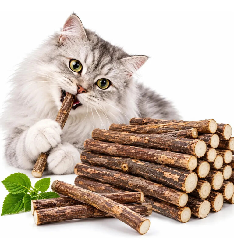 Matatabi Varas Gatos Catnip Limpa Dentes Kit Com 20,30,50un Kit 50 Unid.