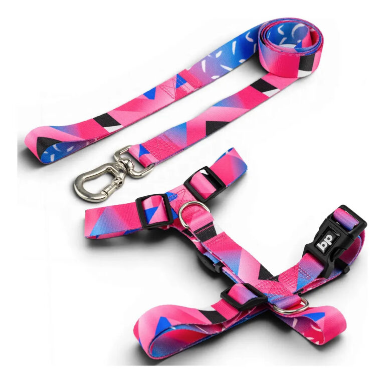 Coleira peitoral com guia para cachorro pet Tamanho Grande Porte Regulável ajustável reforçado resistente Golden Retrievers Labrador Border Collie Pastor Alemão Pitbull cães Basic Pet cor Lawn