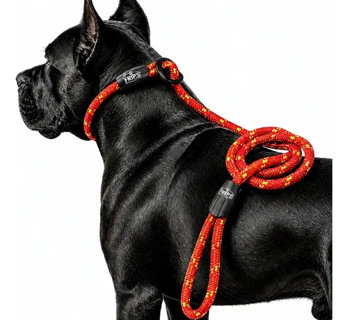 Guia Unificada Para Cães Super Fortes Pitbull,american Bully