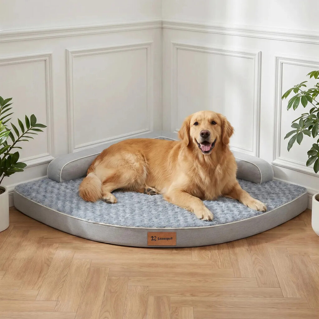 Cama Pet Grande Caminha Cachorros De Canto Ortopédica Espuma Caixa de Ovo Raio 90cm Frente 120cm